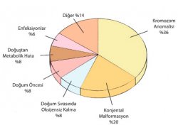  Zeka geriliği tanımlaması değişiyor 