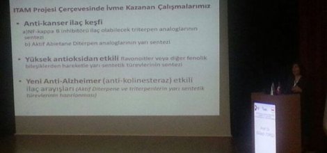  Nanoteknolojik İlaçların Geleceği Tartışıldı 