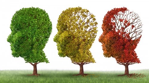  İnsülin direnci Alzheimer riskini artırabilir 