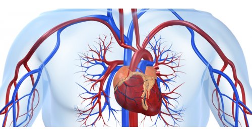  Stent tedavisi yaşam kalitesini arttırıyor 